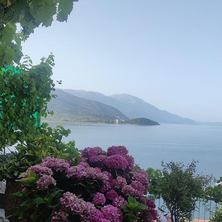 Villa Malezan Охрид Экстерьер фото