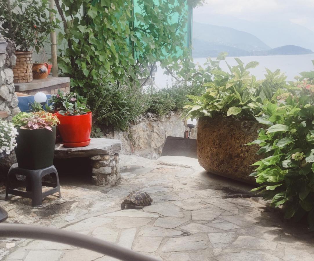 Villa Malezan Охрид Экстерьер фото