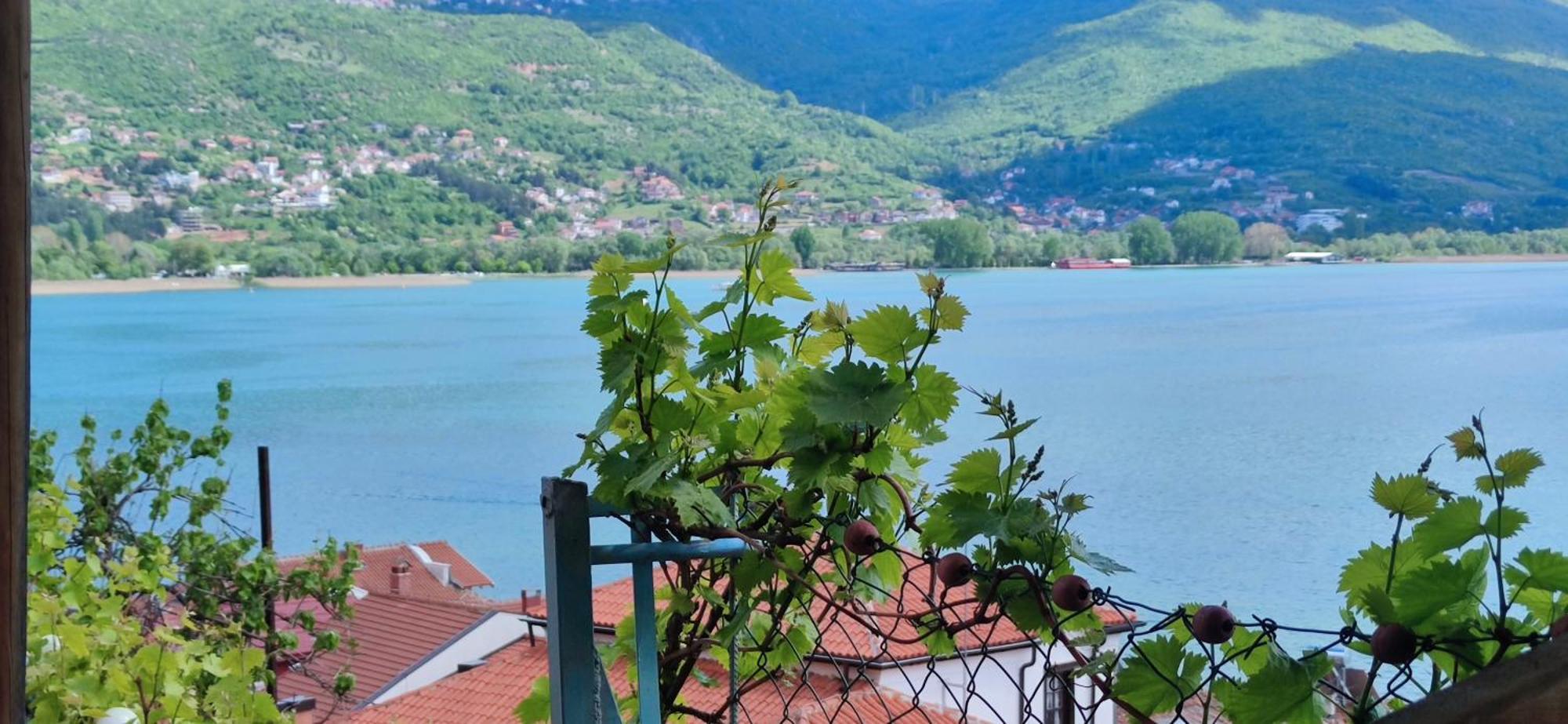 Villa Malezan Охрид Экстерьер фото